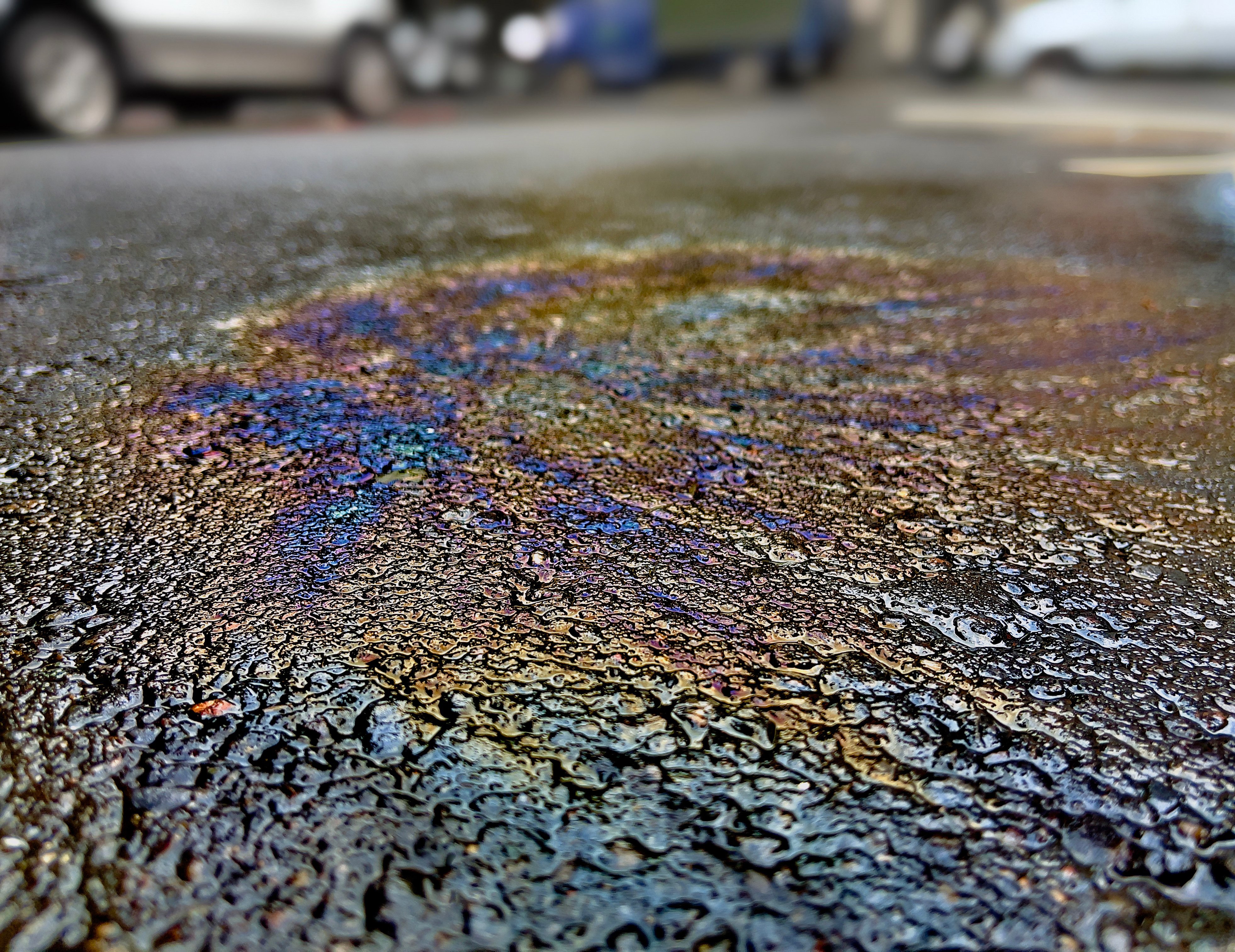 oil sheen mixed with water on pavement impacting coastal stormwater drainage